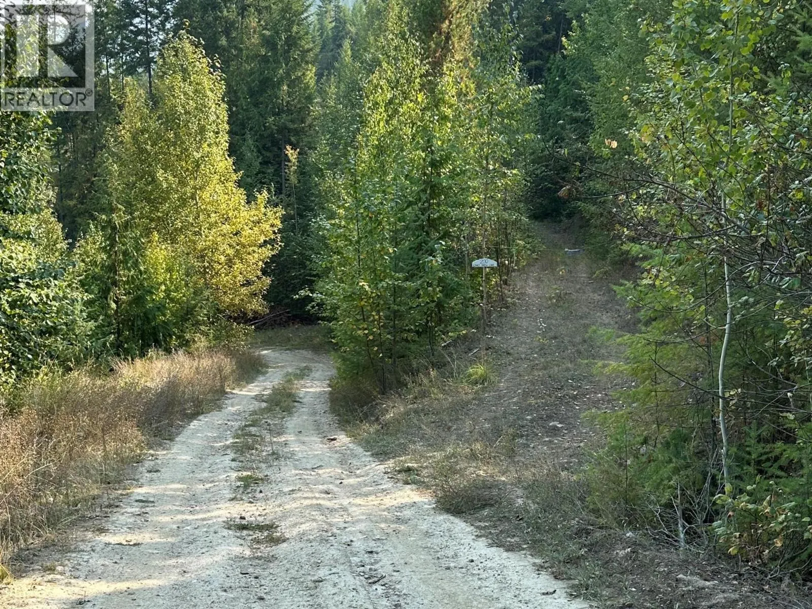 200 LOWER ARROW Lake