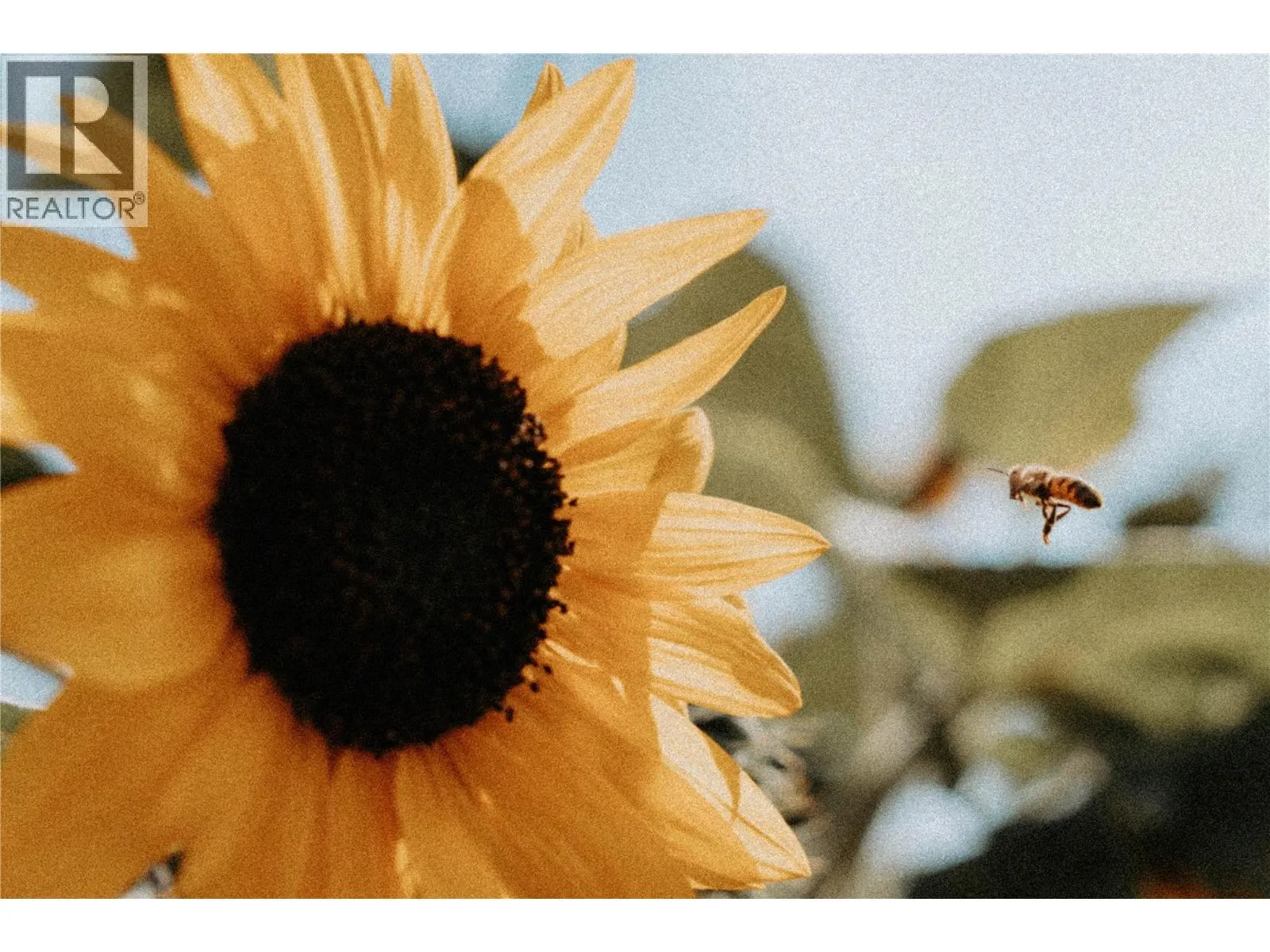 2569 spring bank Avenue