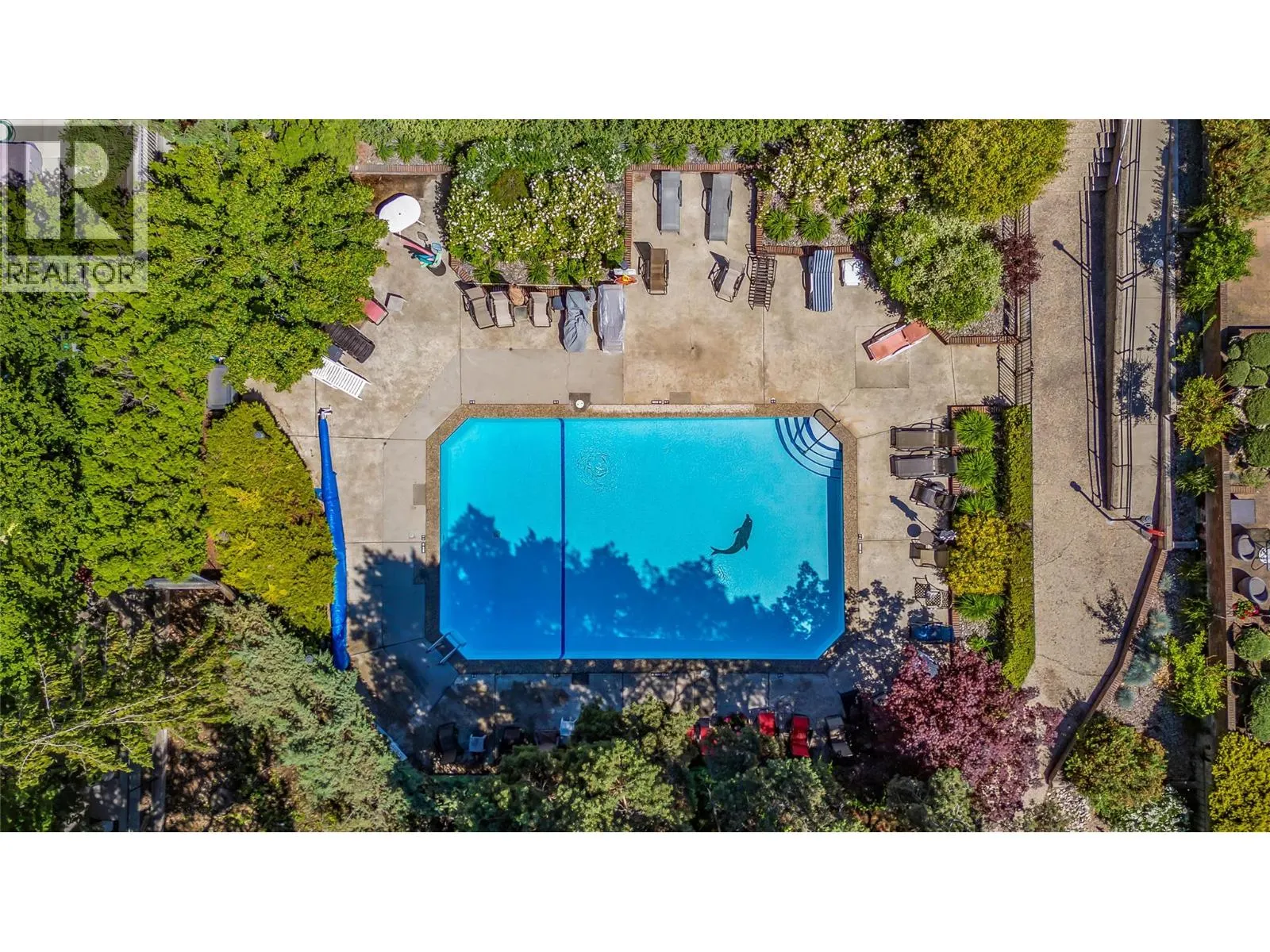 1056 Bernard Avenue Unit# 216