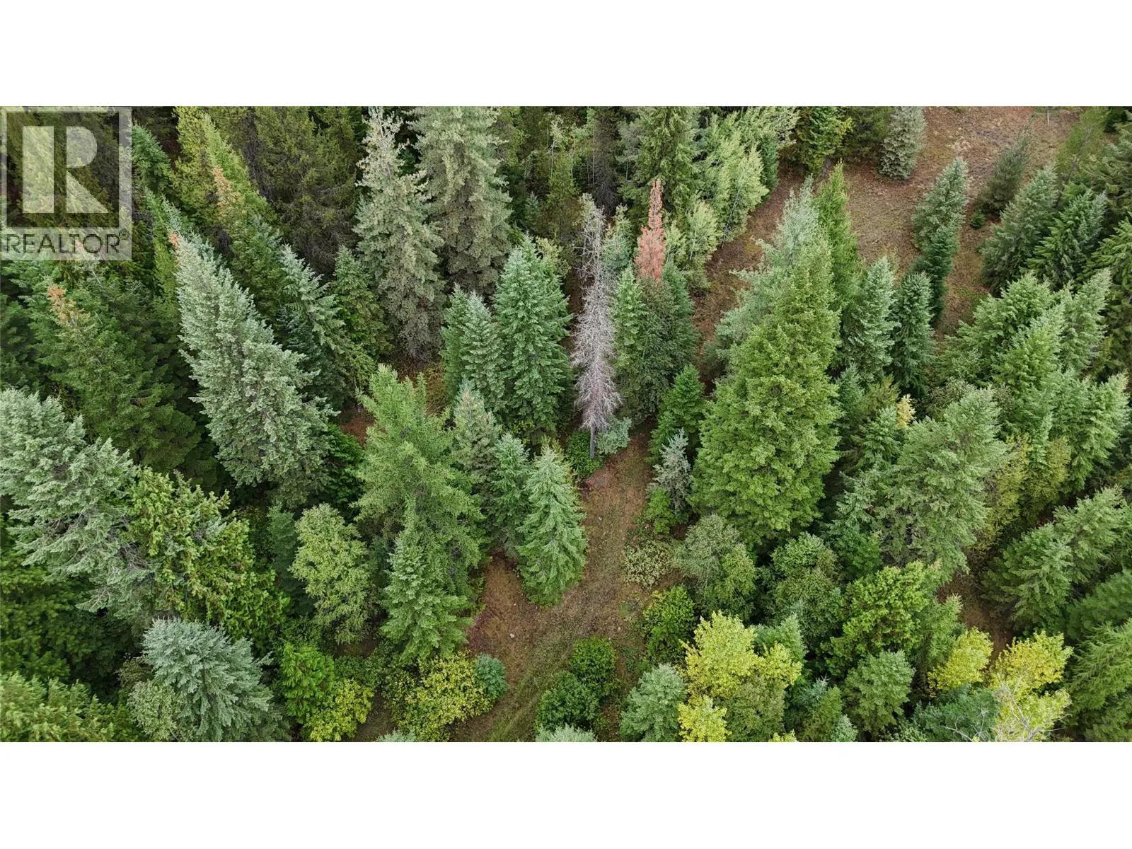 LOT 1 Ross Spur Road
