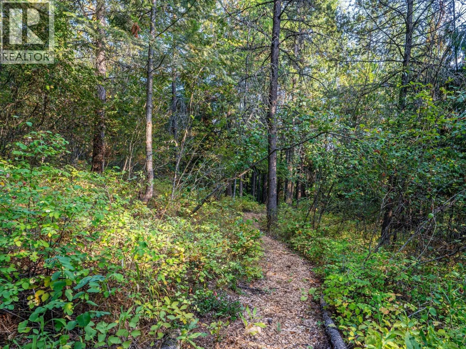 8130 Jackpine Road