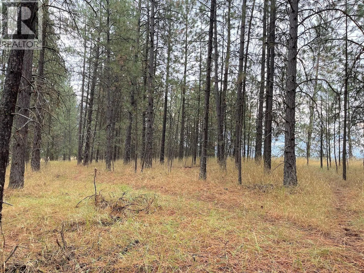 Highway 3 Lot# 32