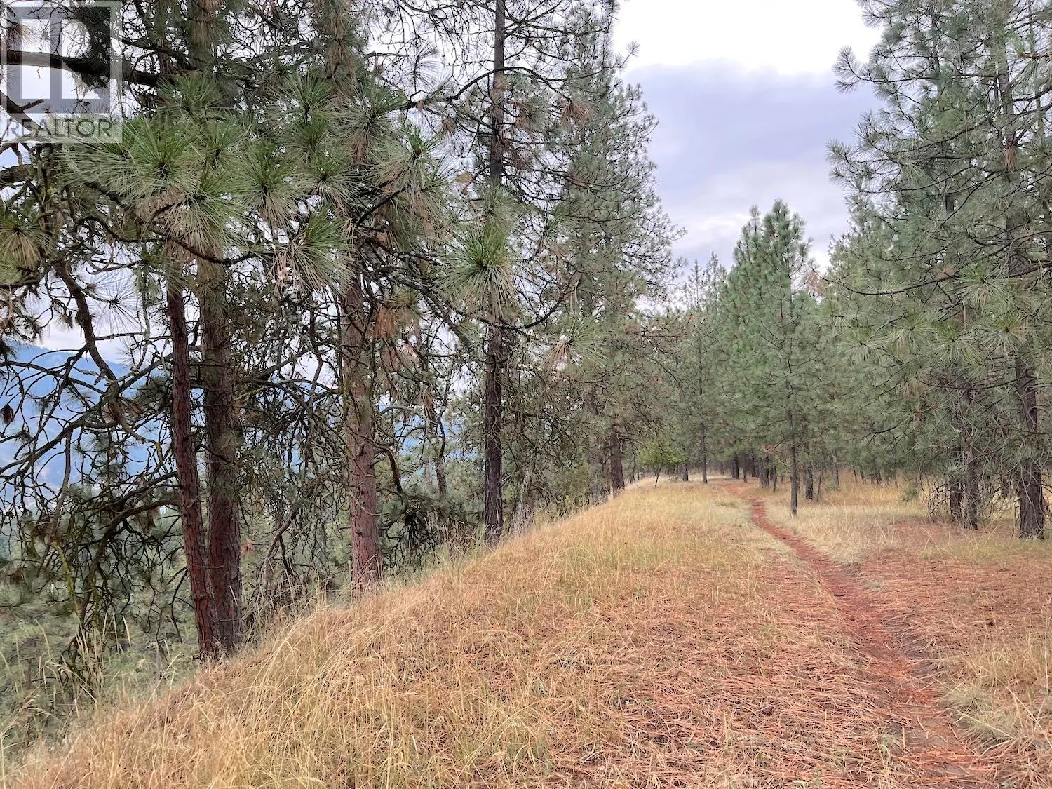 Highway 3 Lot# 32