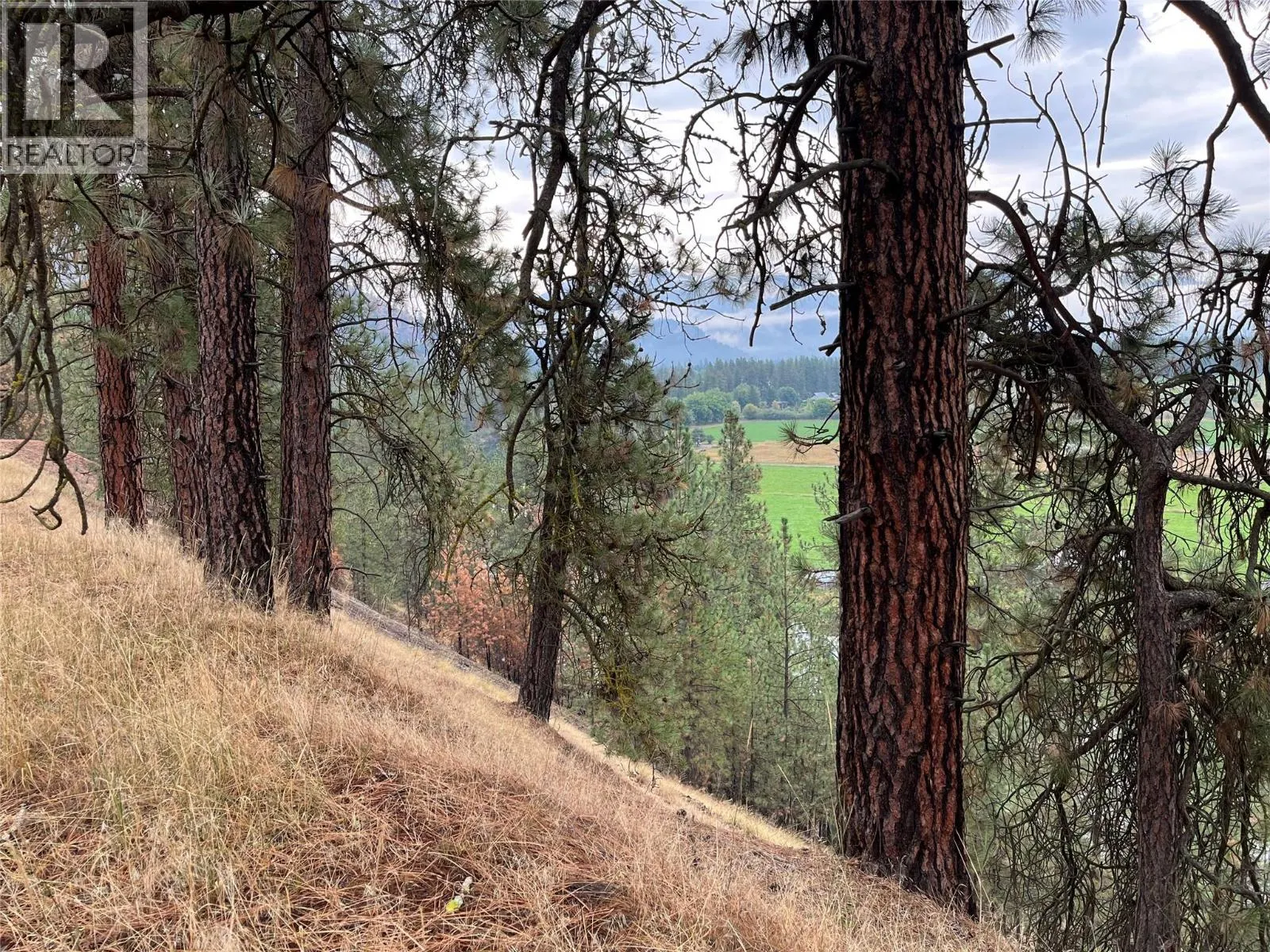 Highway 3 Lot# 32