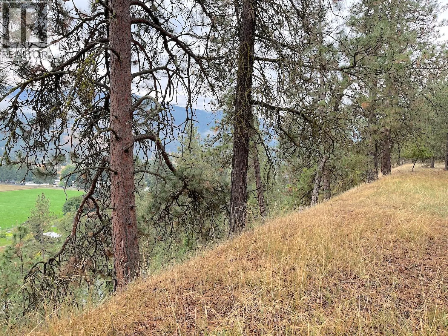 Highway 3 Lot# 32