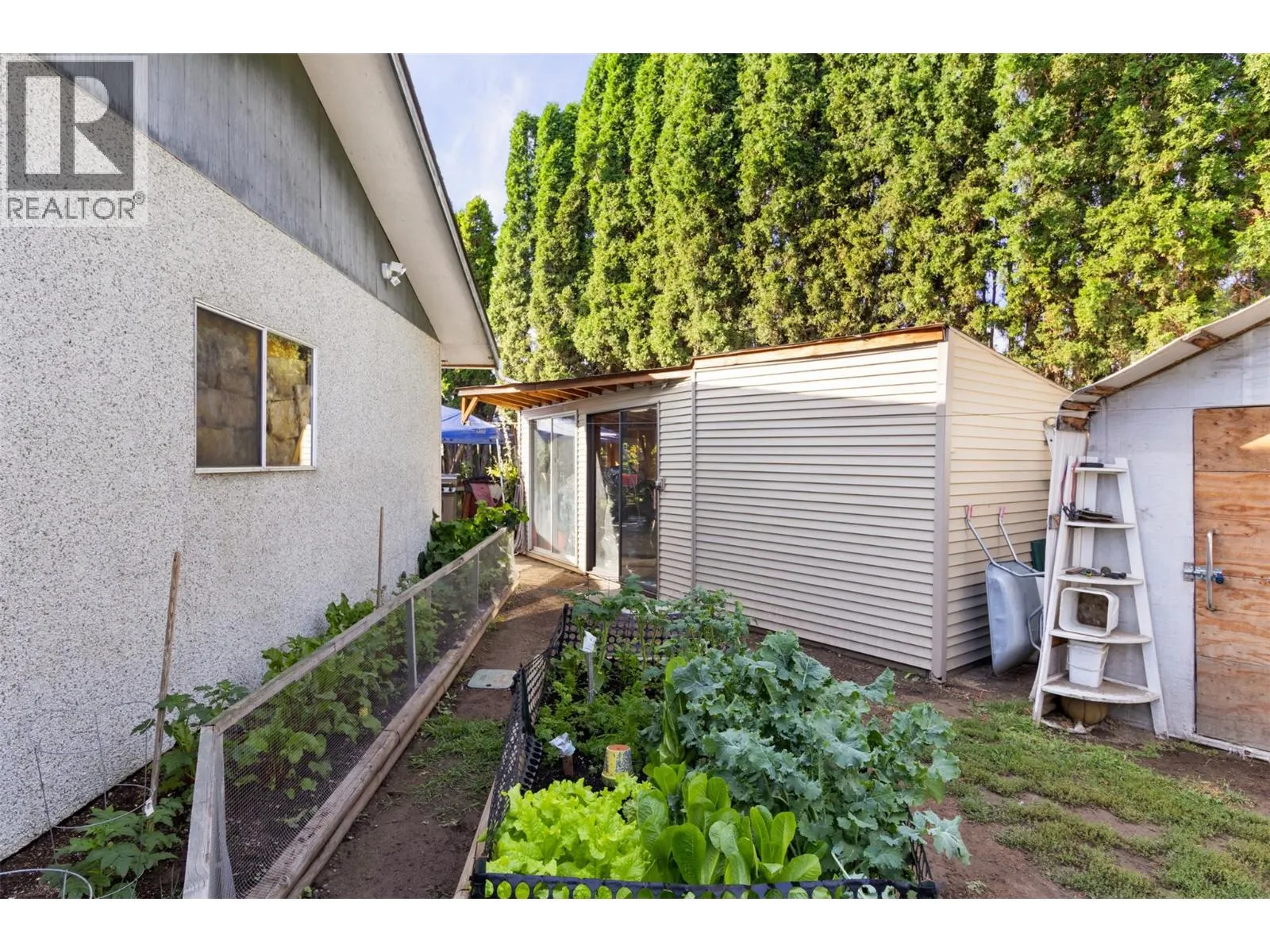 224 CYPRESS Avenue