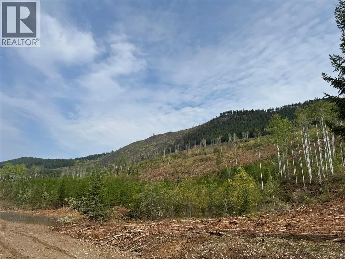 DL 10766 Giant Min Road