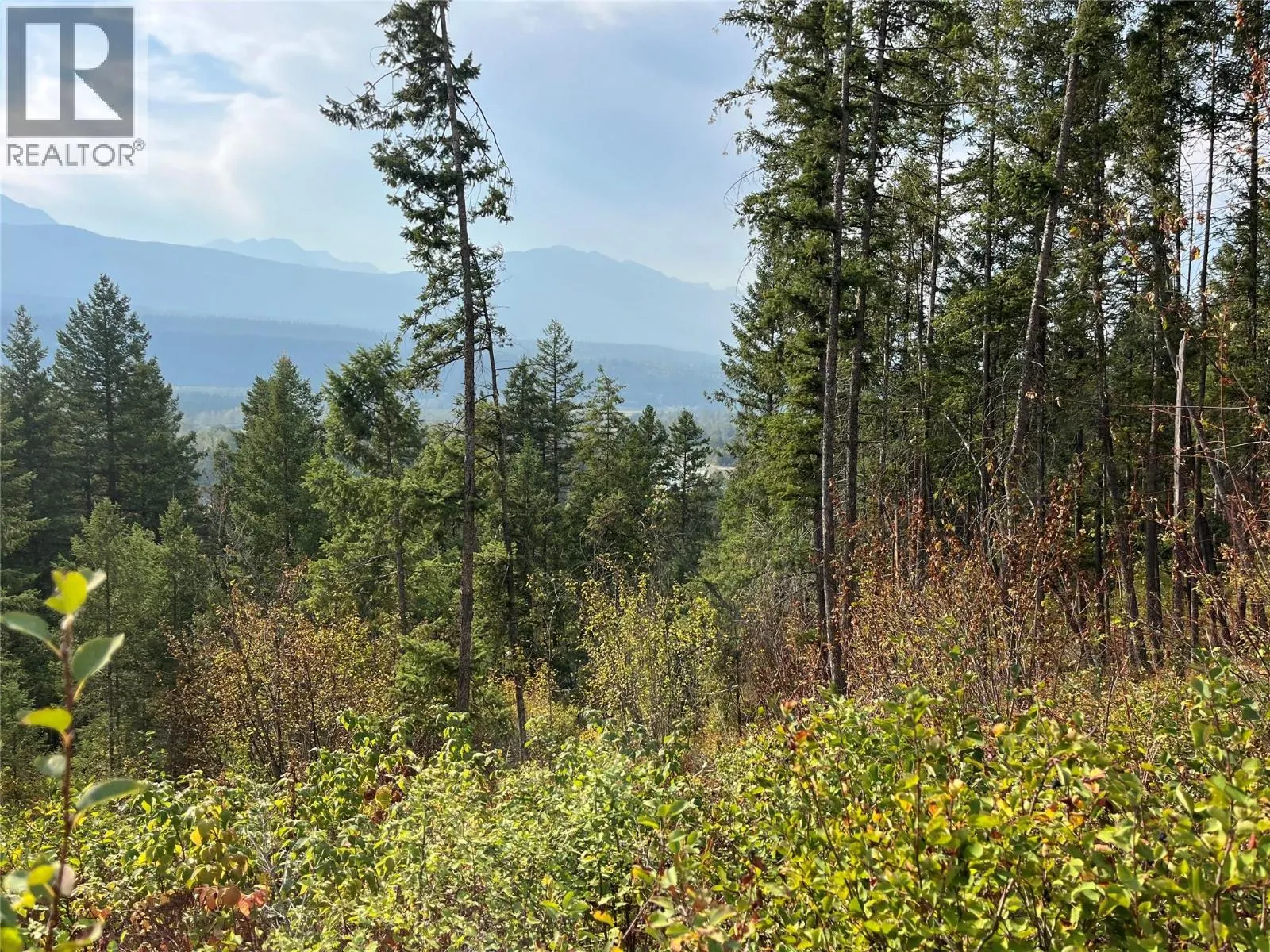 842 Almberg Road Unit# Remainder Lot# Lot