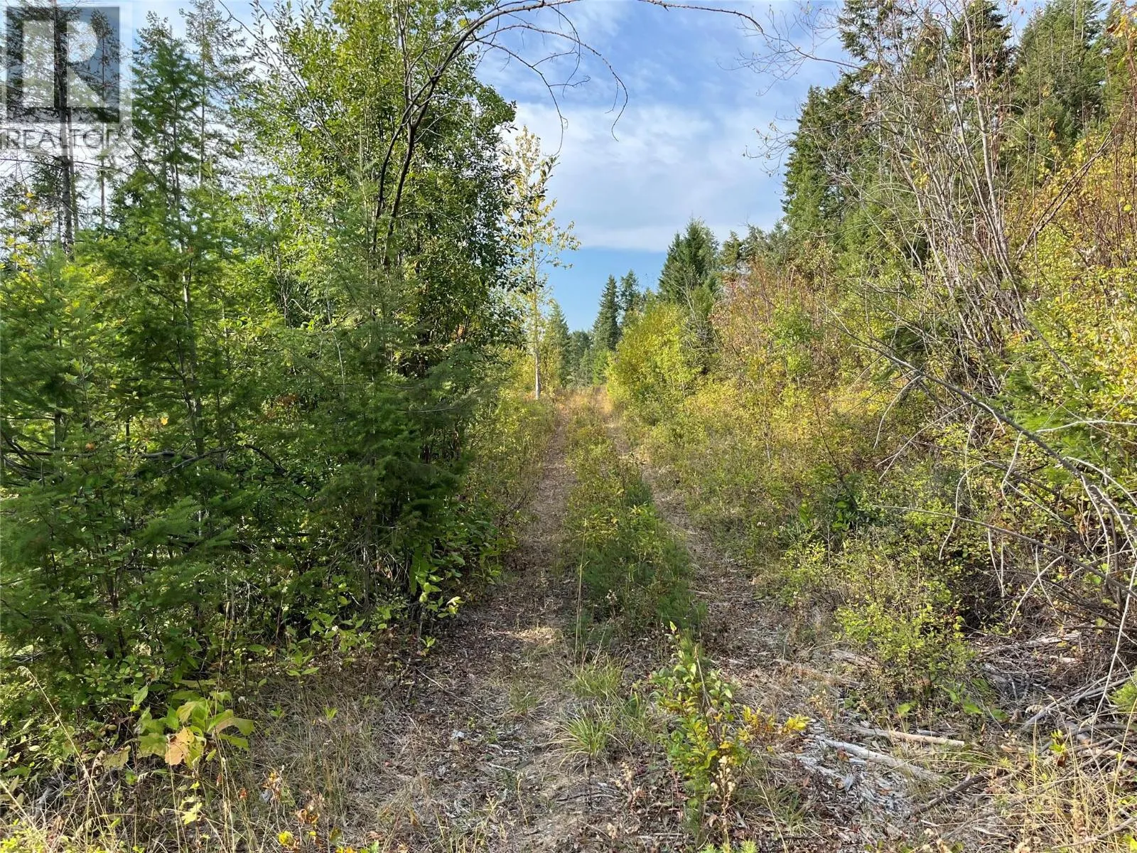 842 Almberg Road Unit# Remainder Lot# Lot