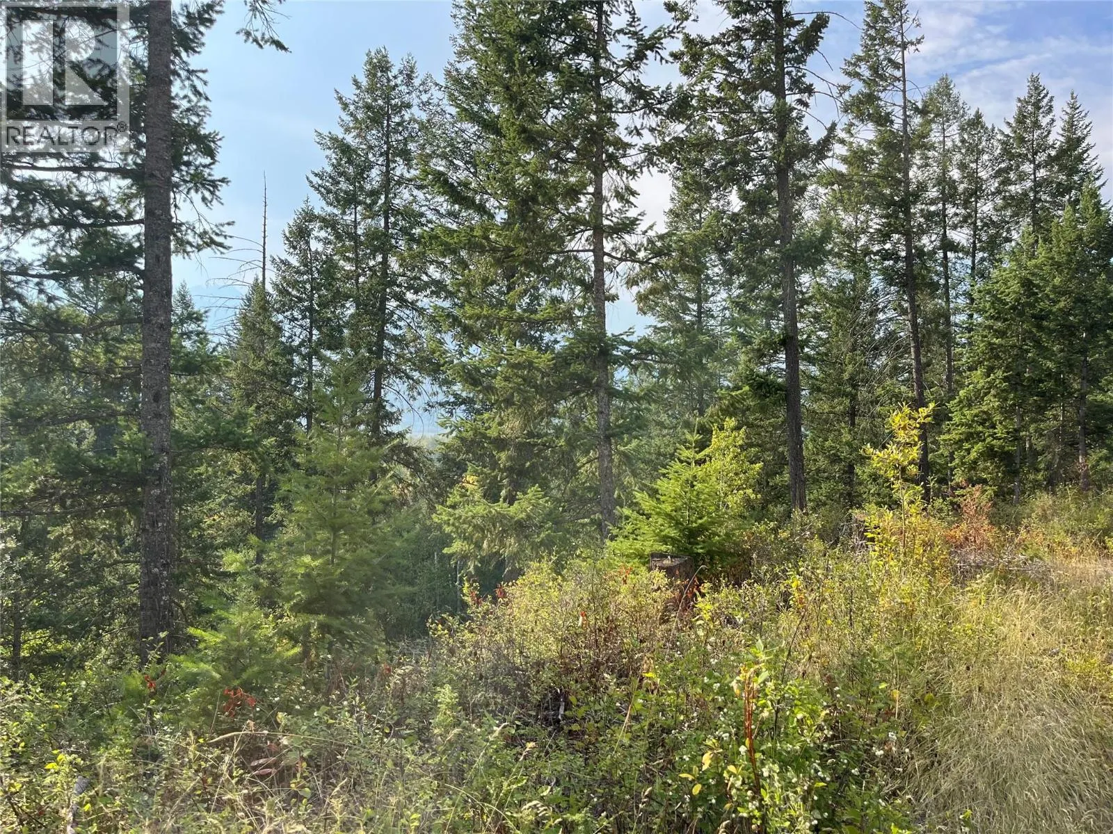 842 Almberg Road Unit# Remainder Lot# Lot