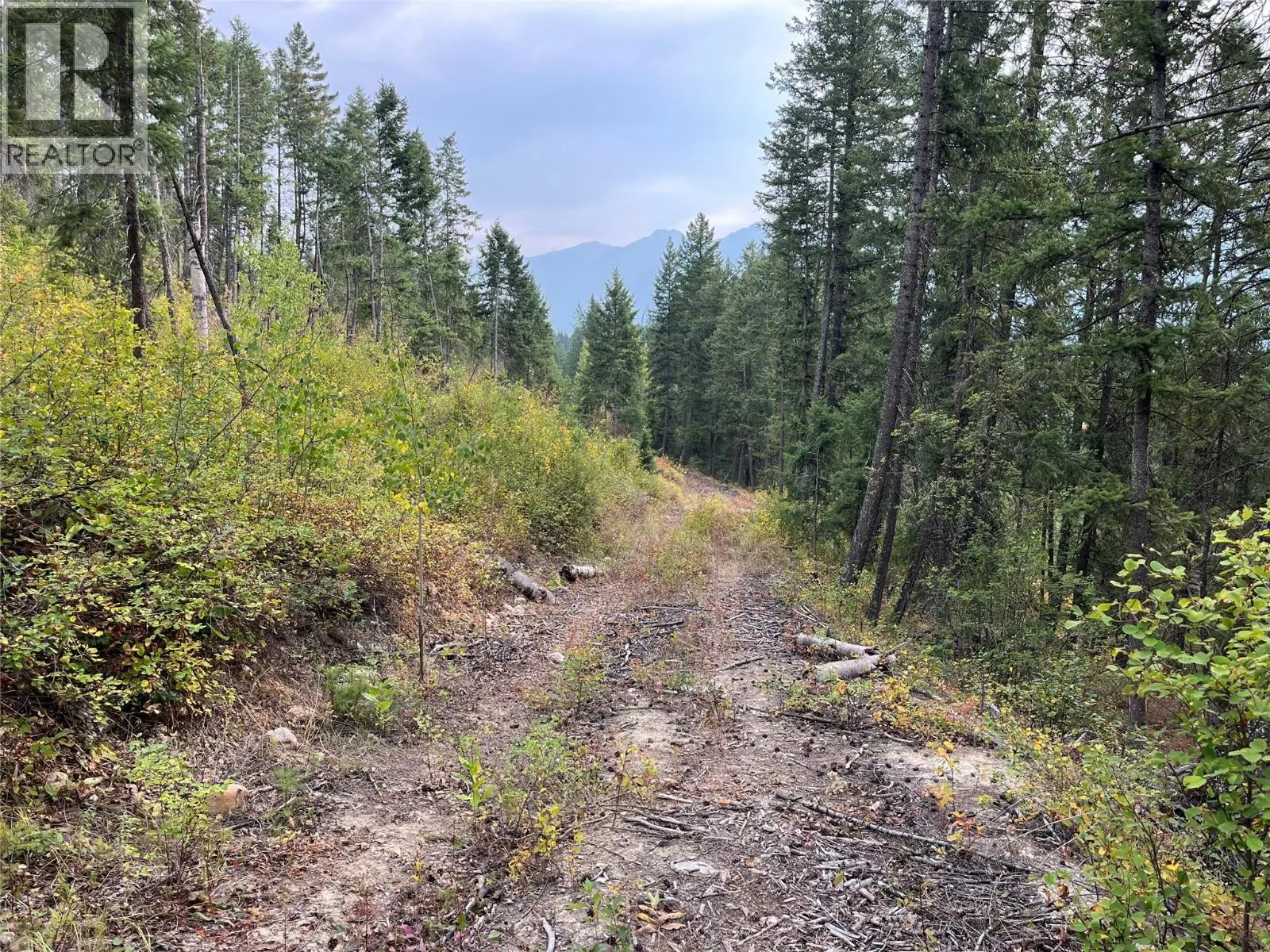 842 Almberg Road Unit# Remainder Lot# Lot