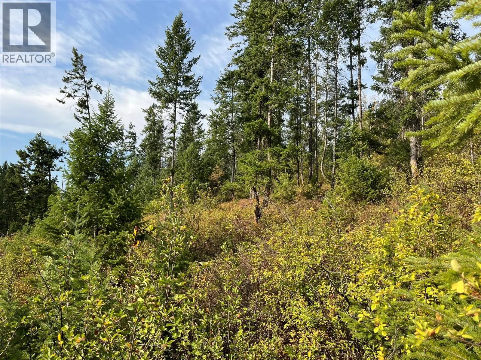 842 Almberg Road Unit# Remainder Lot# Lot