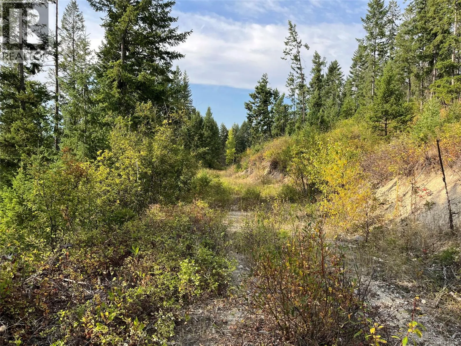 842 Almberg Road Unit# Remainder Lot# Lot