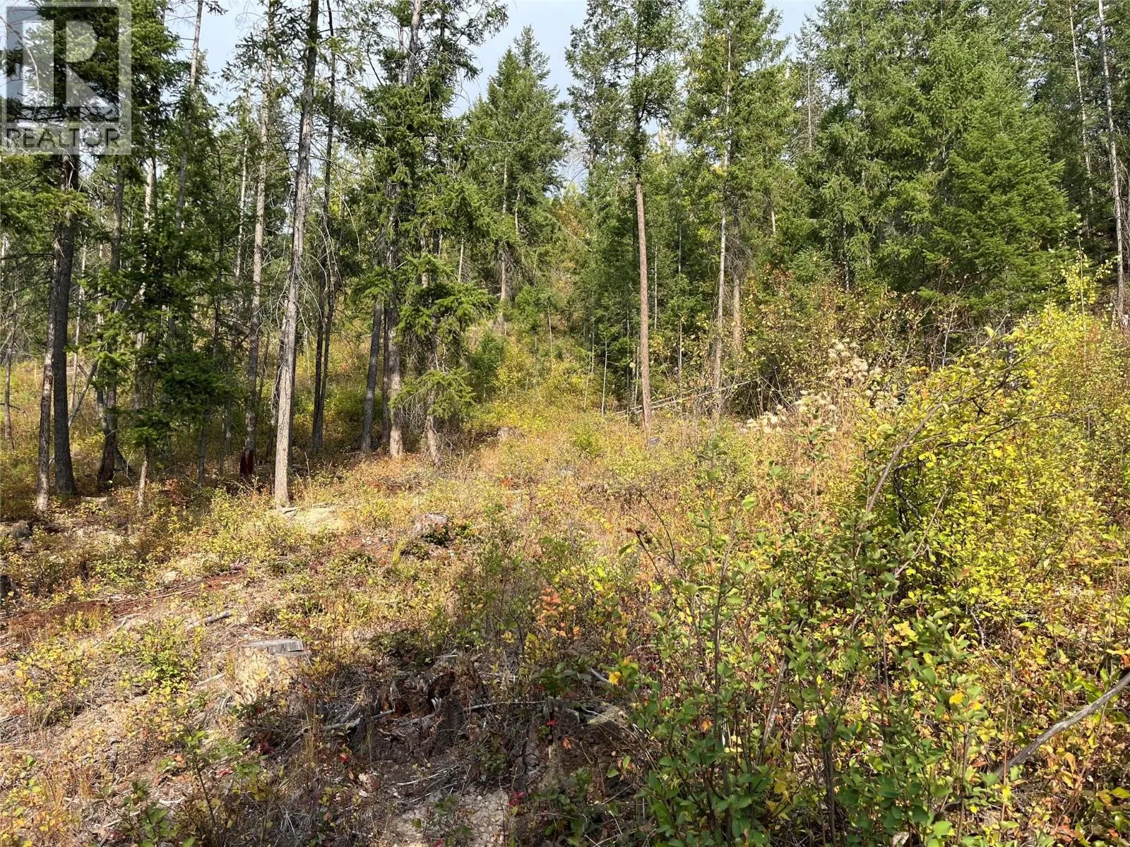 842 Almberg Road Unit# Remainder Lot# Lot