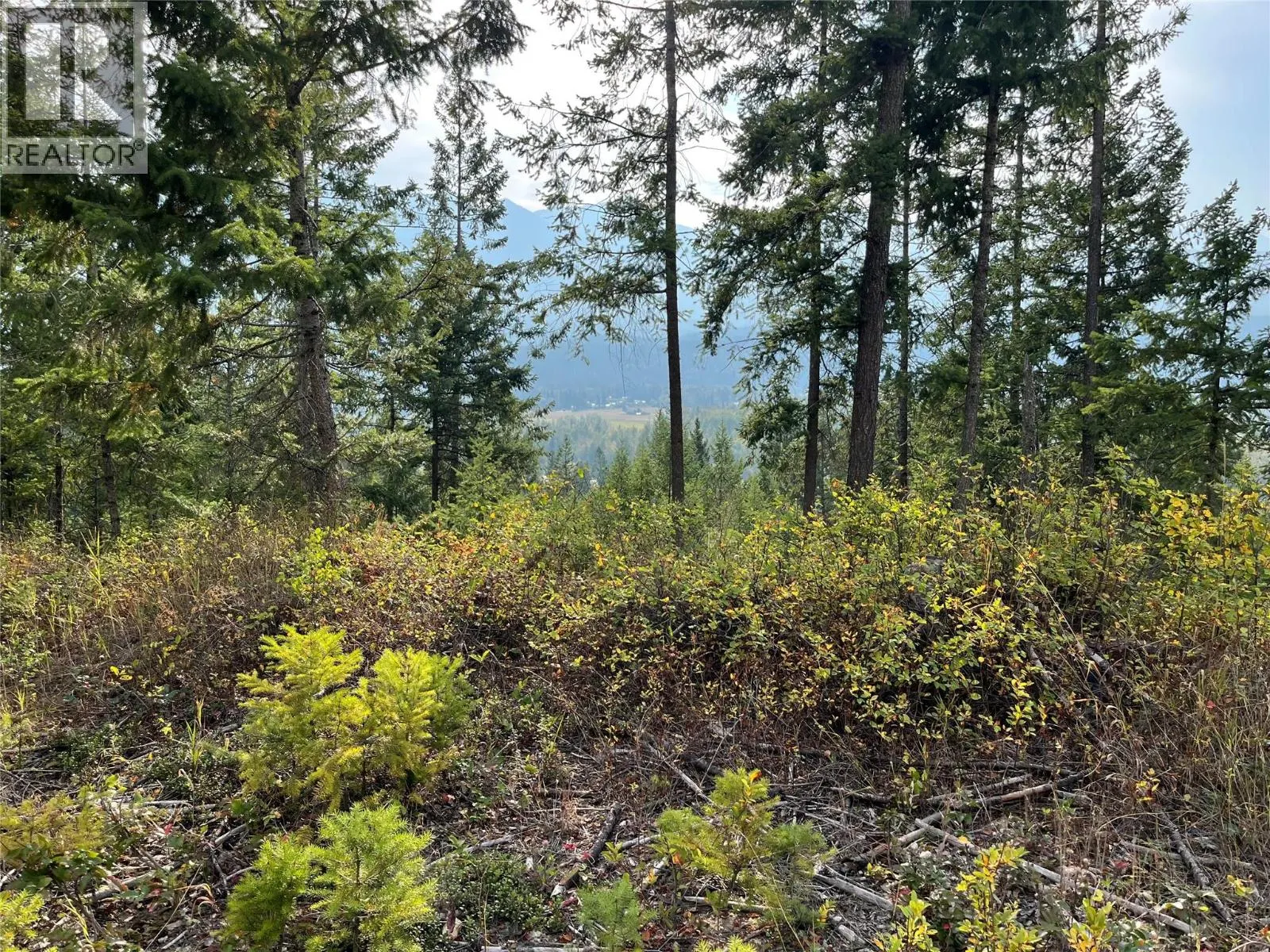 842 Almberg Road Unit# Remainder Lot# Lot