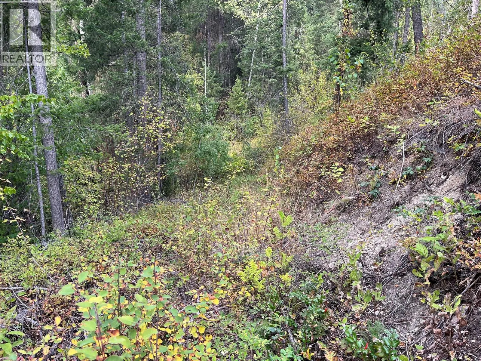 842 Almberg Road Unit# Remainder Lot# Lot