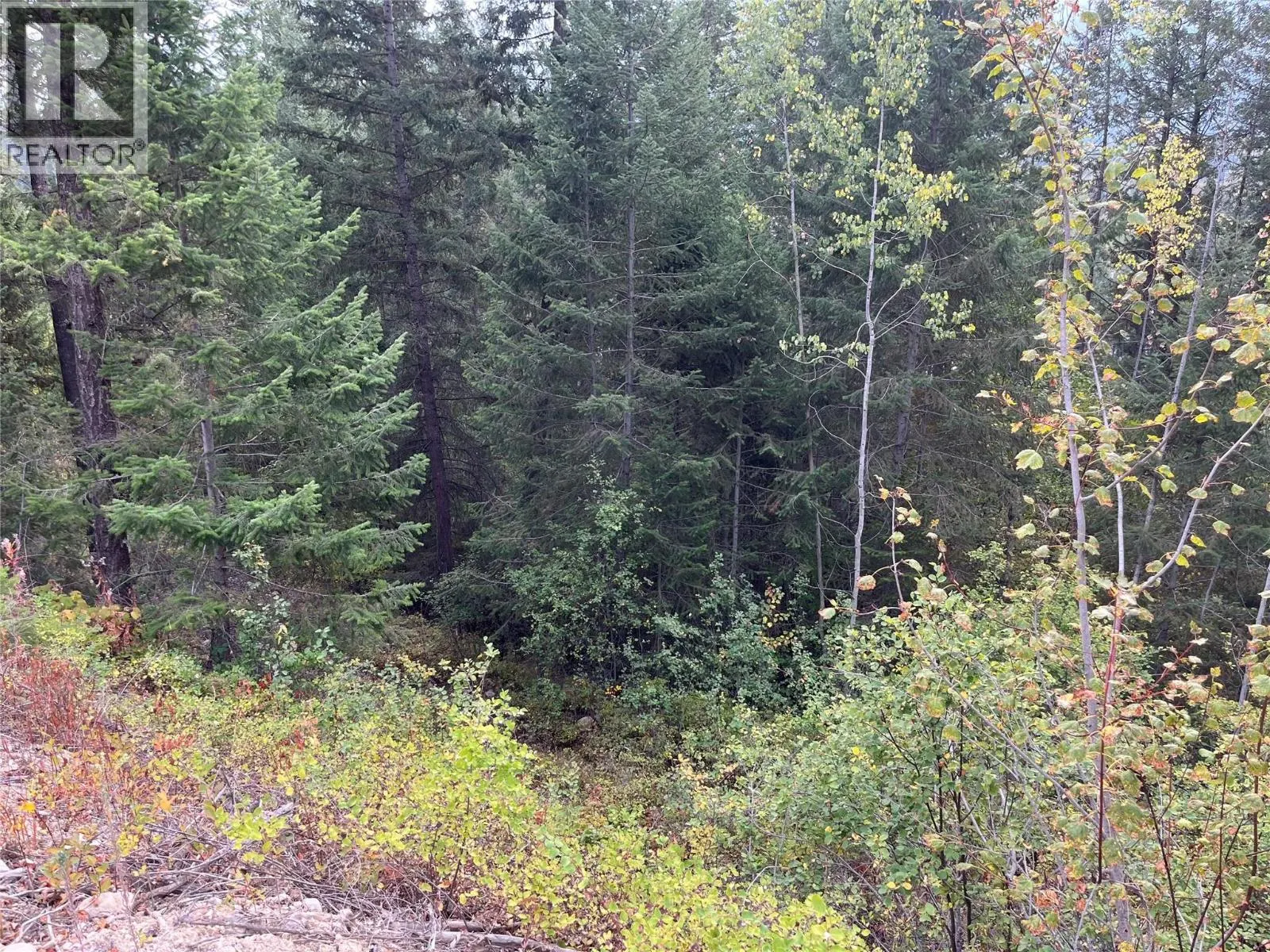 842 Almberg Road Unit# Remainder Lot# Lot