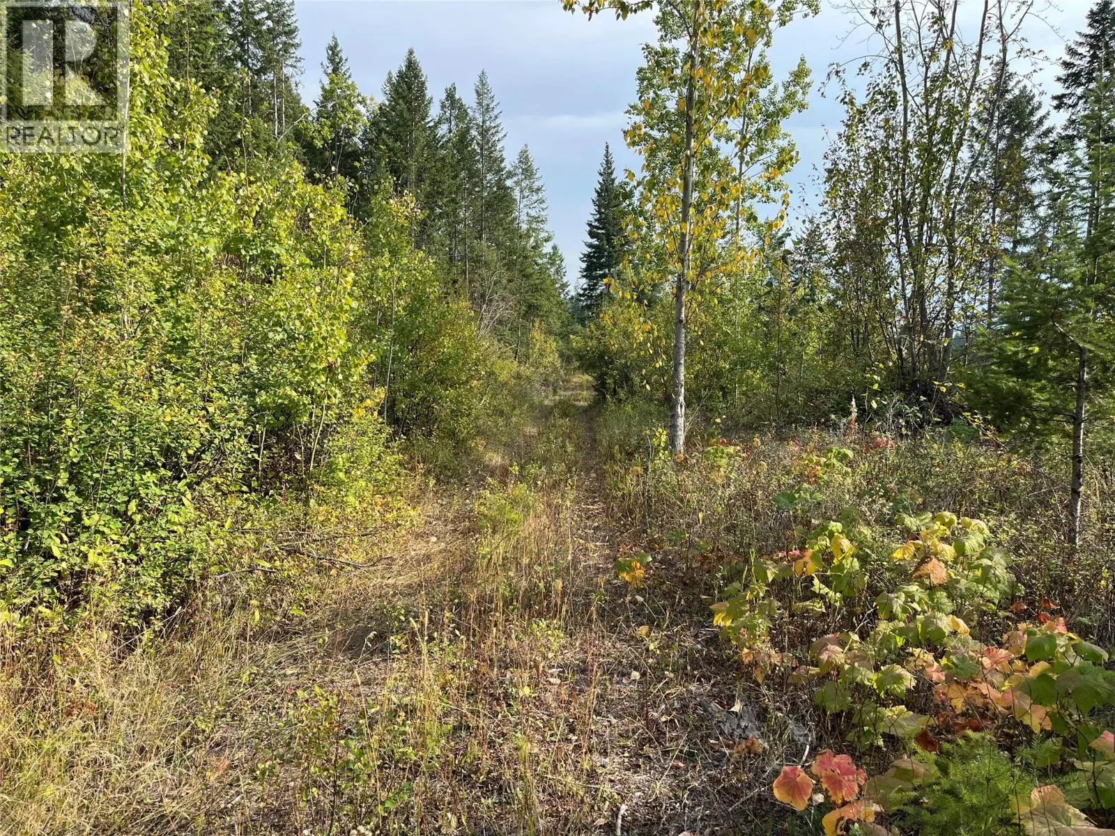 842 Almberg Road Unit# Remainder Lot# Lot