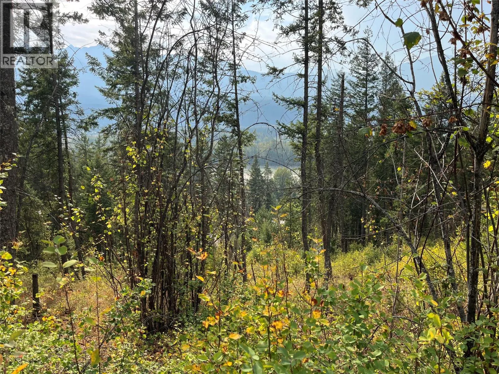 842 Almberg Road Unit# Remainder Lot# Lot