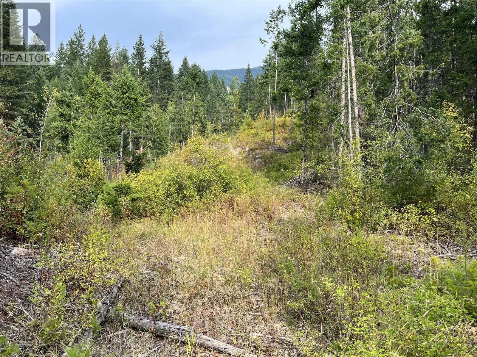 842 Almberg Road Unit# Remainder Lot# Lot