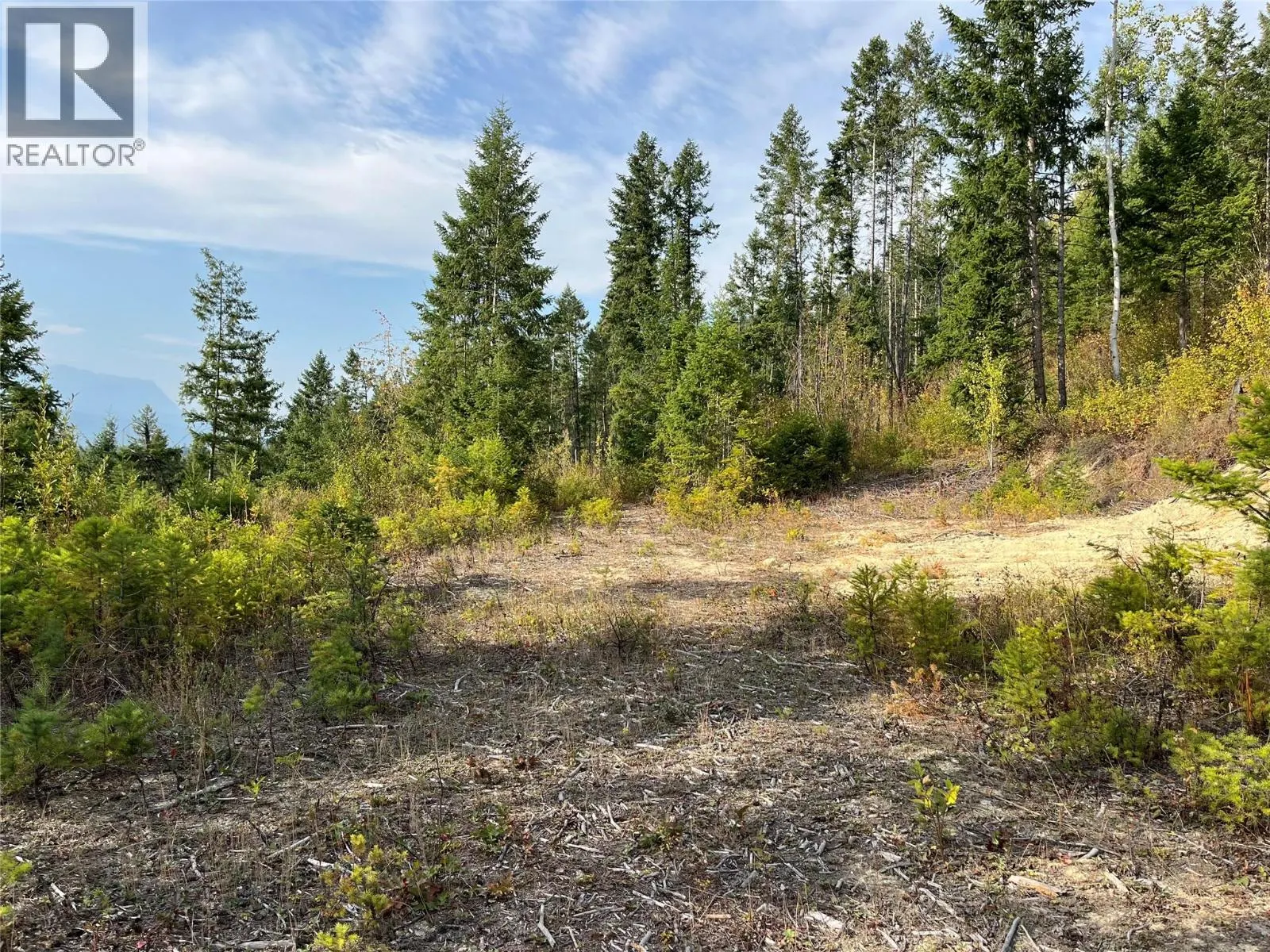 842 Almberg Road Unit# Remainder Lot# Lot