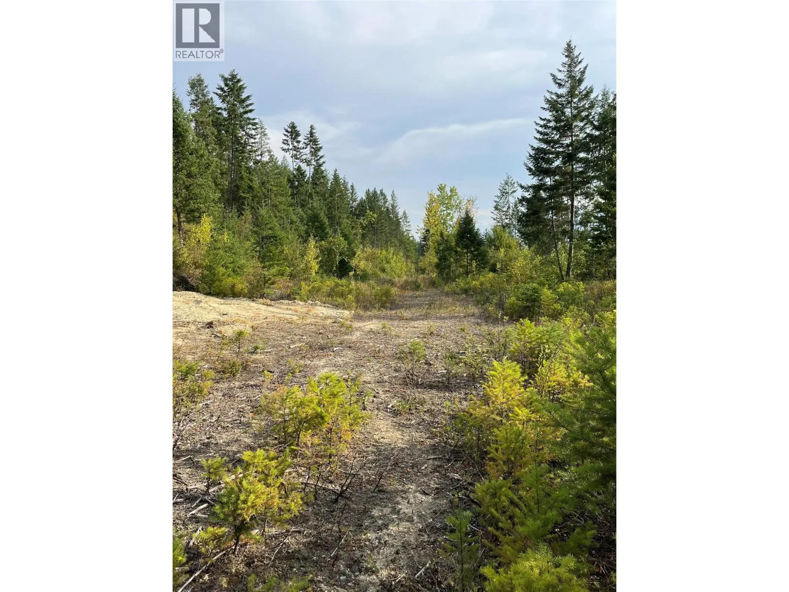842 Almberg Road Unit# Remainder Lot# Lot