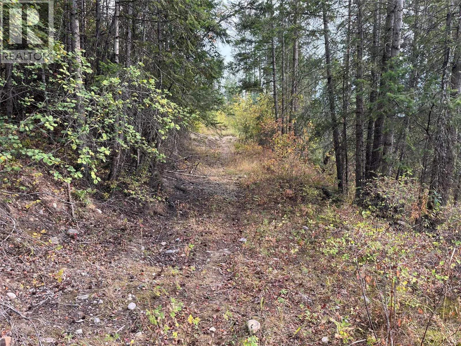 842 Almberg Road Unit# Remainder Lot# Lot
