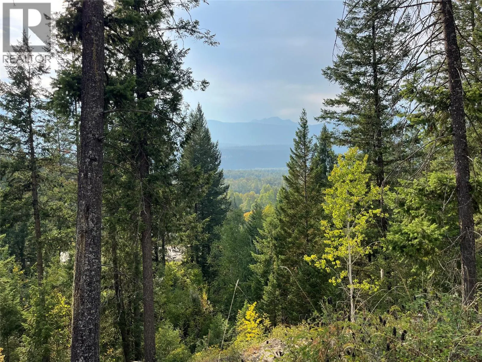 842 Almberg Road Unit# Remainder Lot# Lot