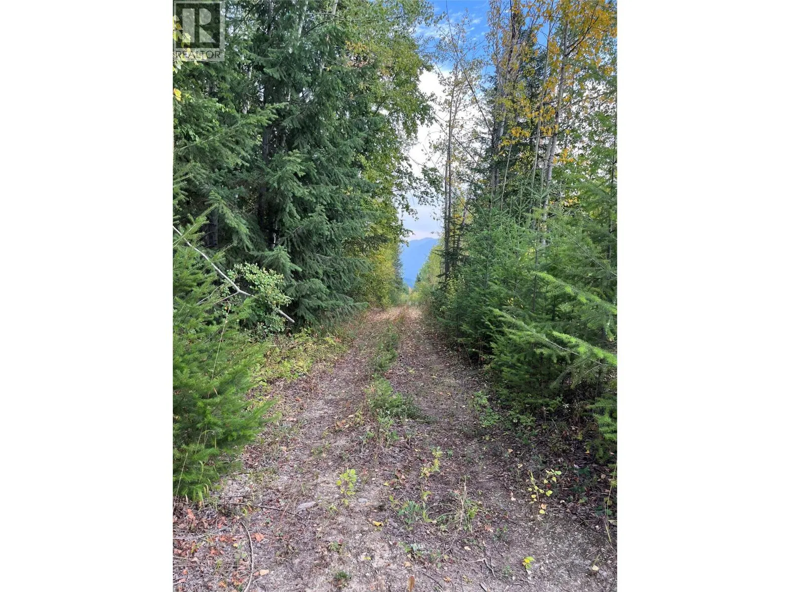 842 Almberg Road Unit# Remainder Lot# Lot