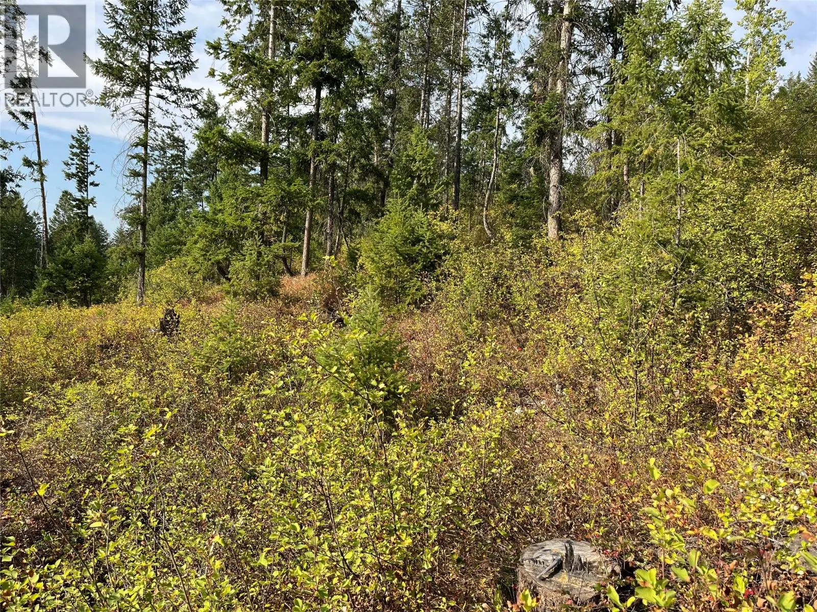 842 Almberg Road Unit# Remainder Lot# Lot