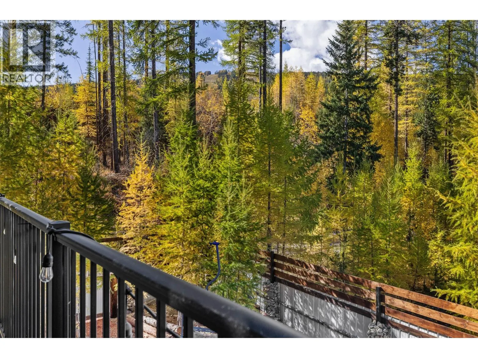 221 Stemwinder Drive