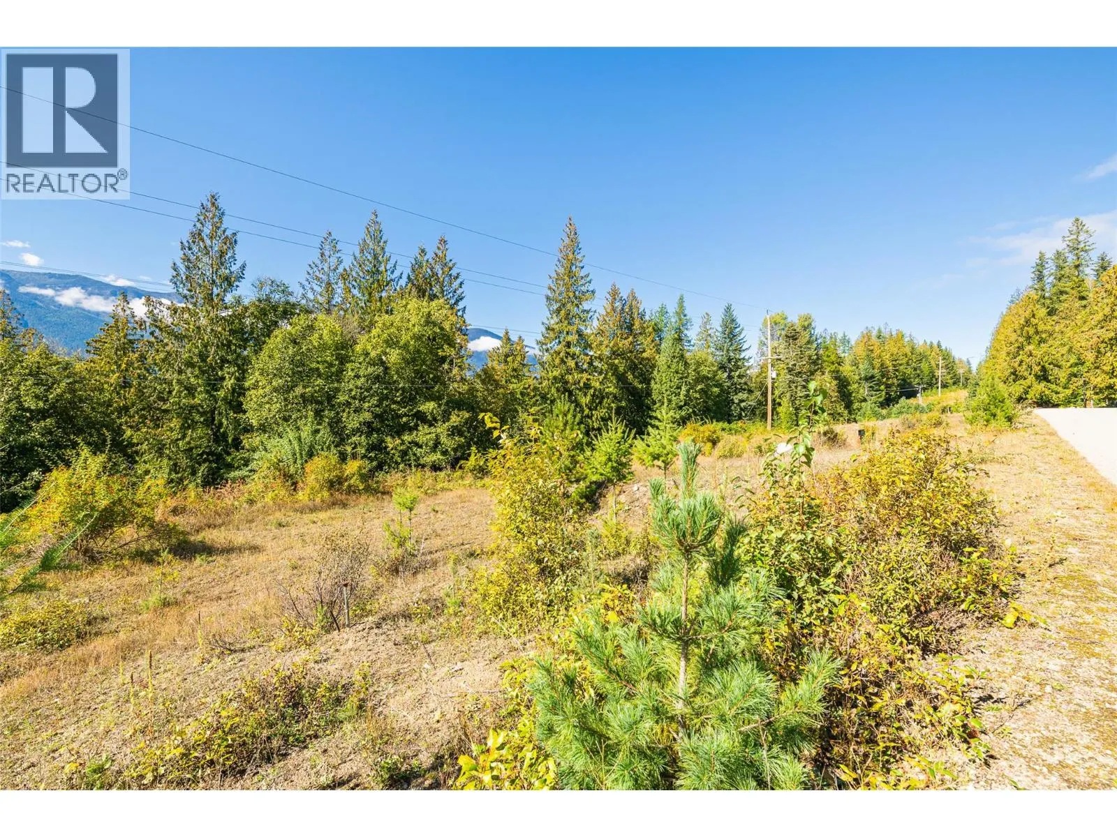 13625 & 13631 Mountain Shores Road