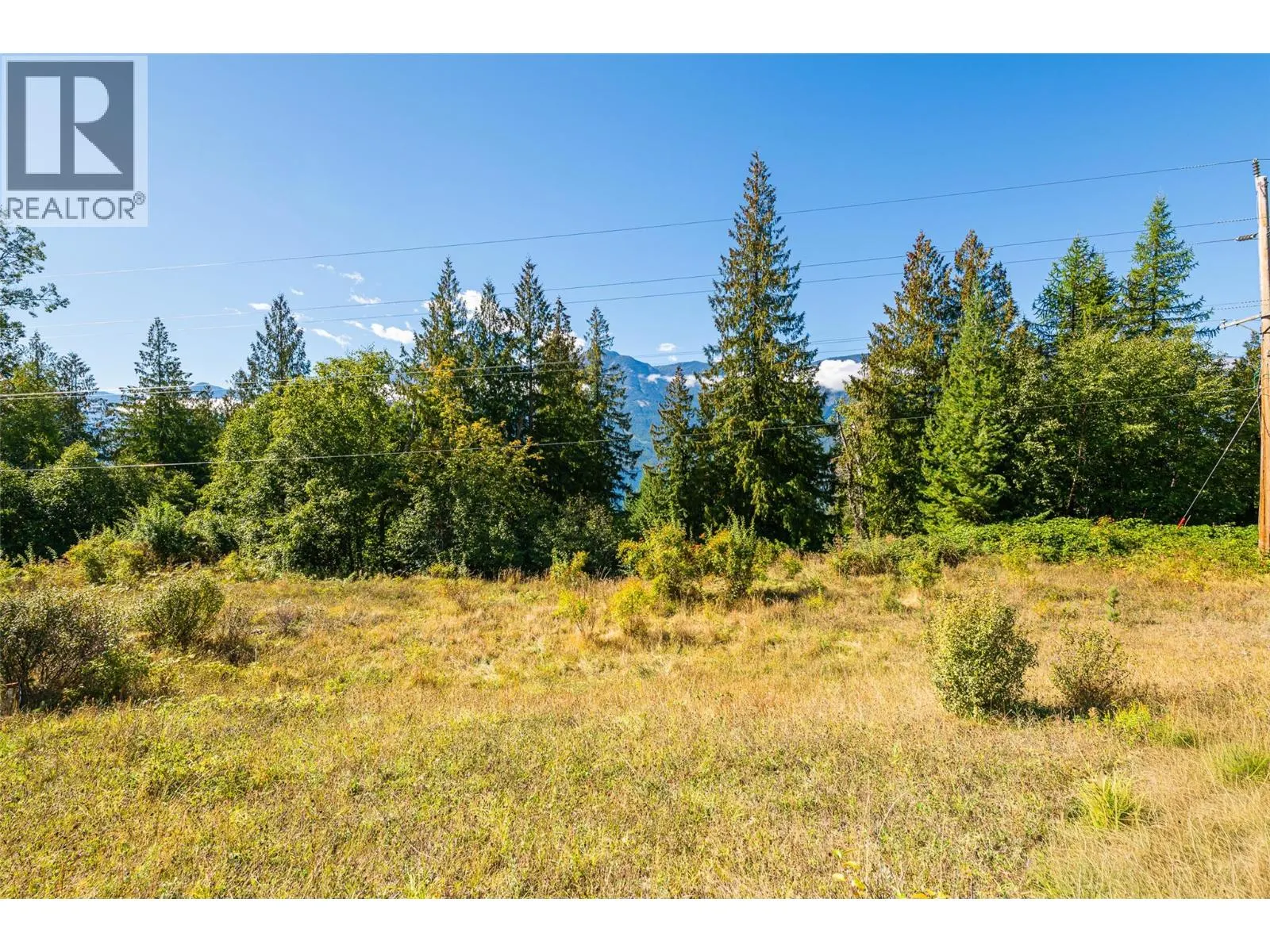 13625 & 13631 Mountain Shores Road