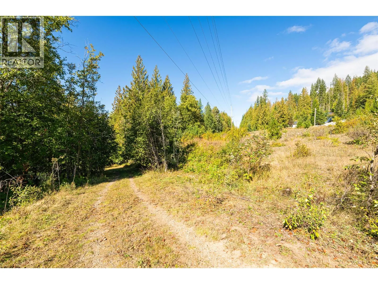 13625 & 13631 Mountain Shores Road