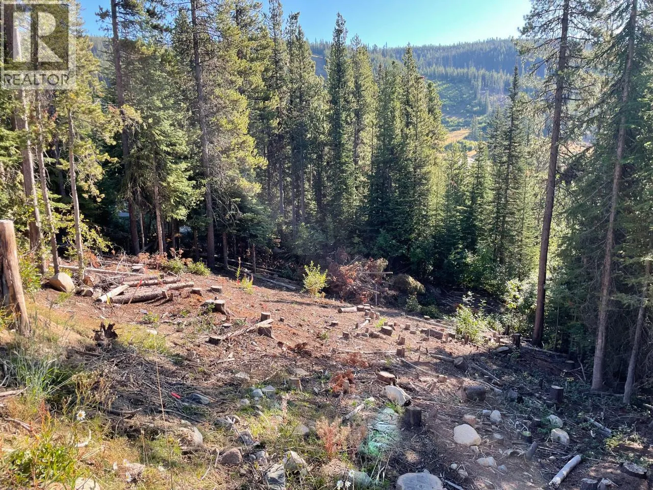 Wapiti Creek Road Lot# 122