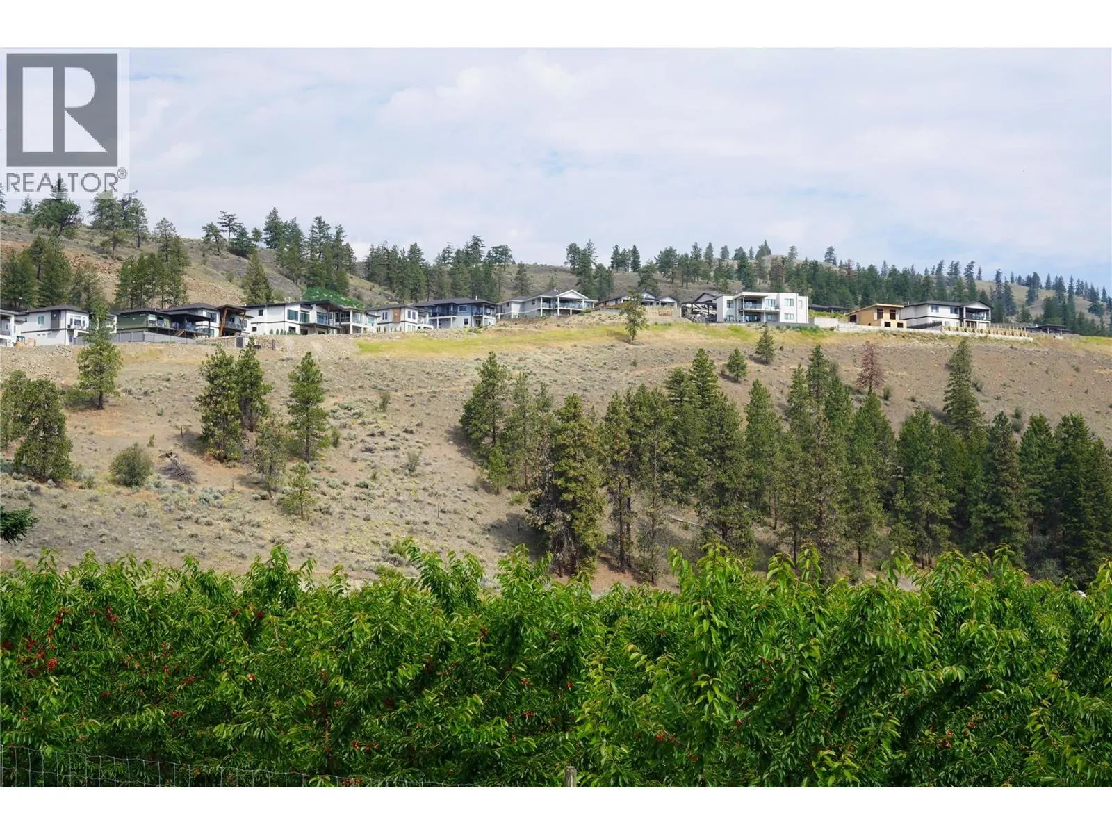 17593 Dickinson Place Lot# 14