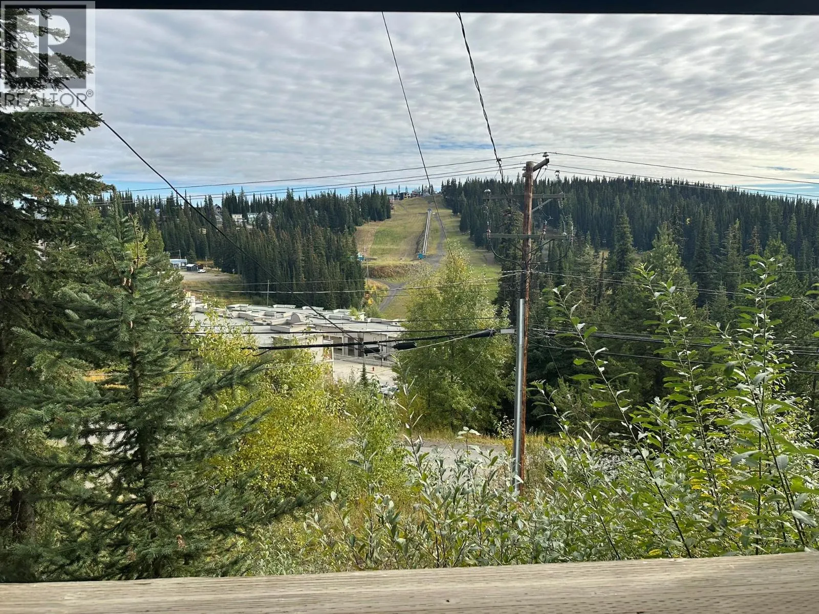 9811 Silver Star Road