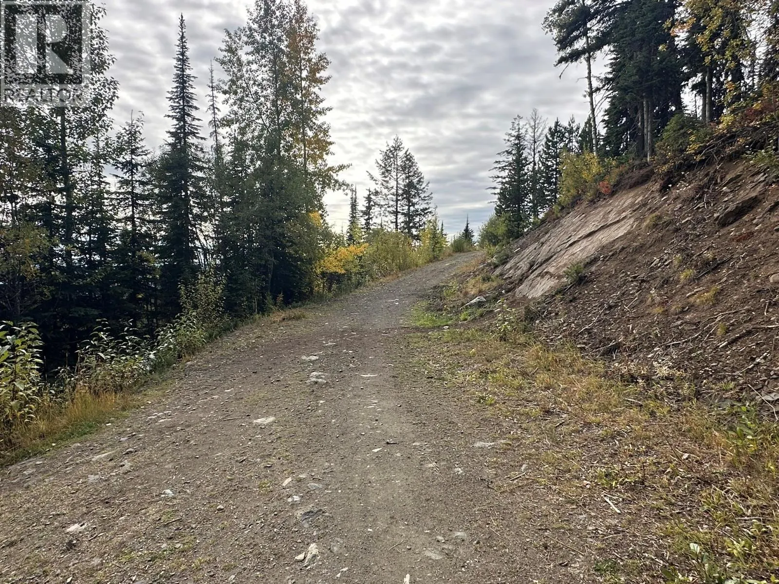 9811 Silver Star Road