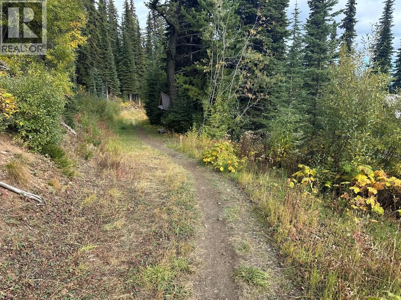 9811 Silver Star Road