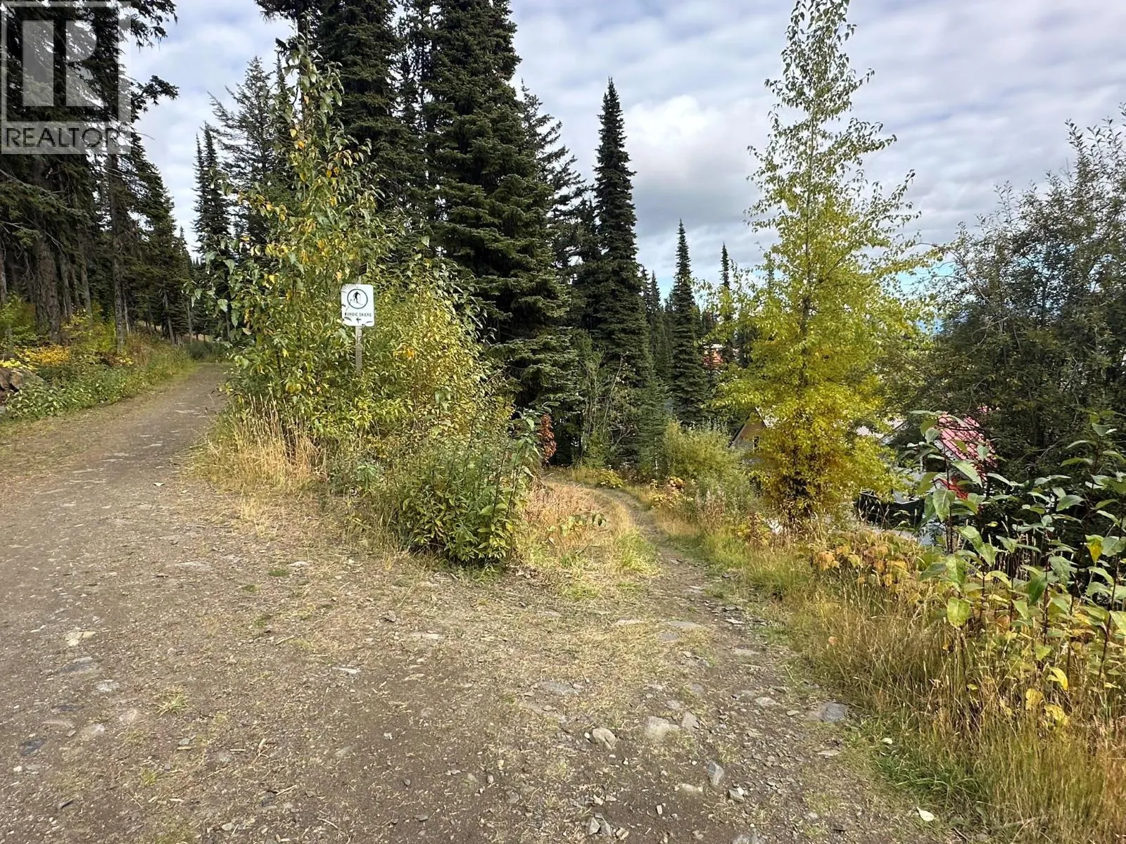 9811 Silver Star Road