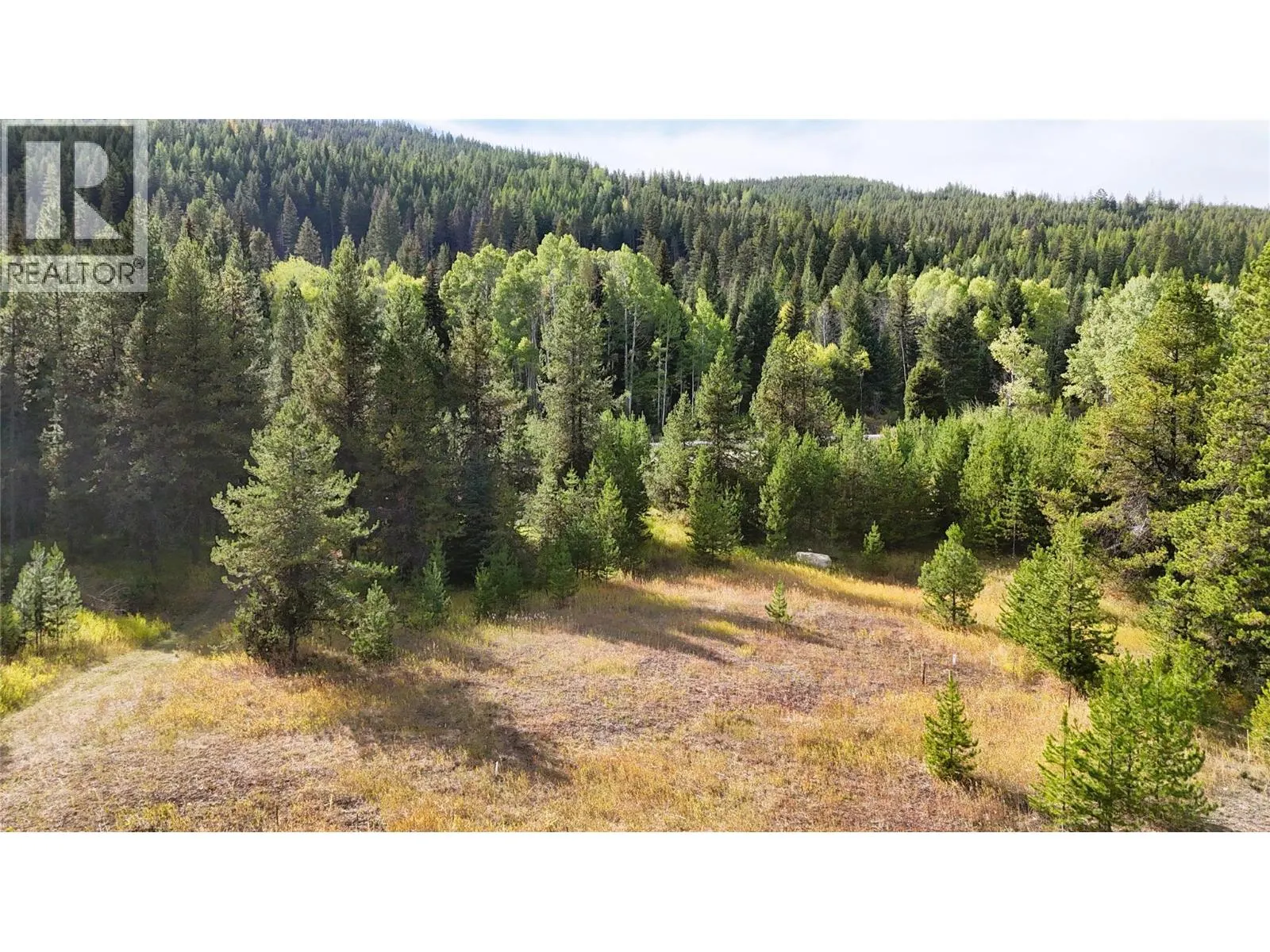 Clark Creek Road