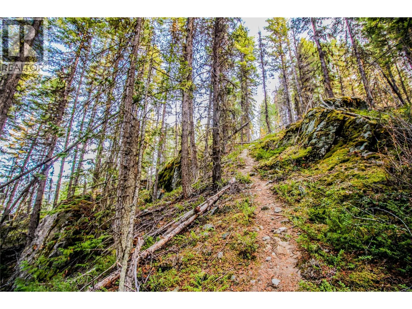 5319 EAST BARRIERE LAKE FS Road