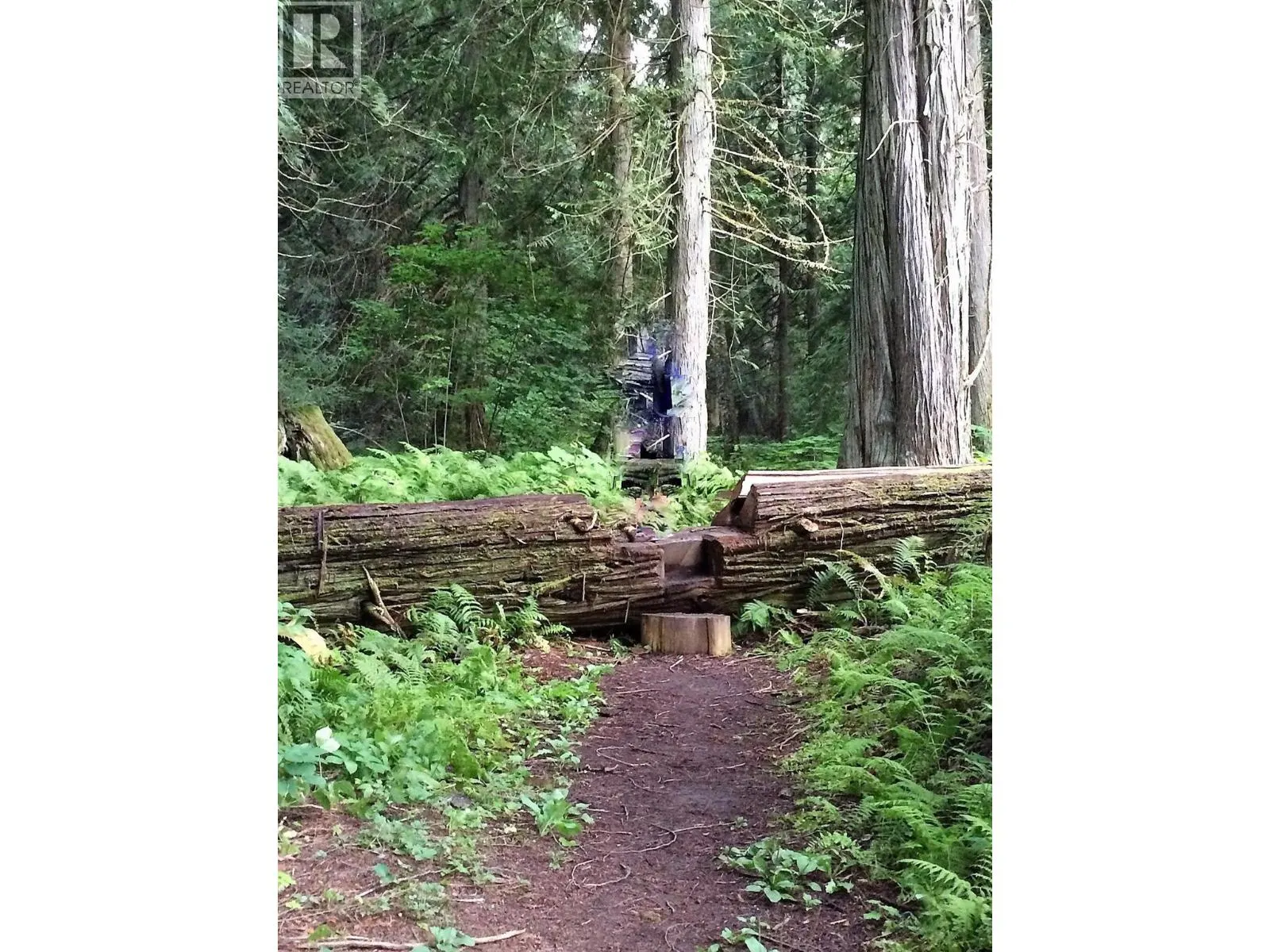 3499 LUOMA Road Lot# 189