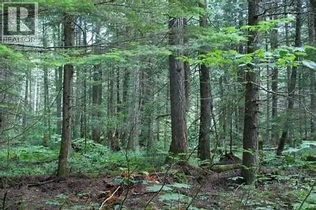 3499 LUOMA Road Lot# 189