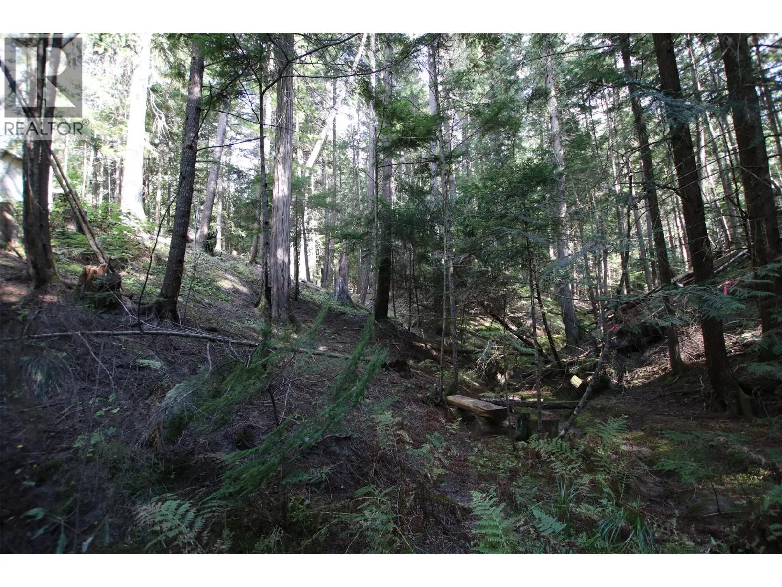 Lot 23 Highway 6