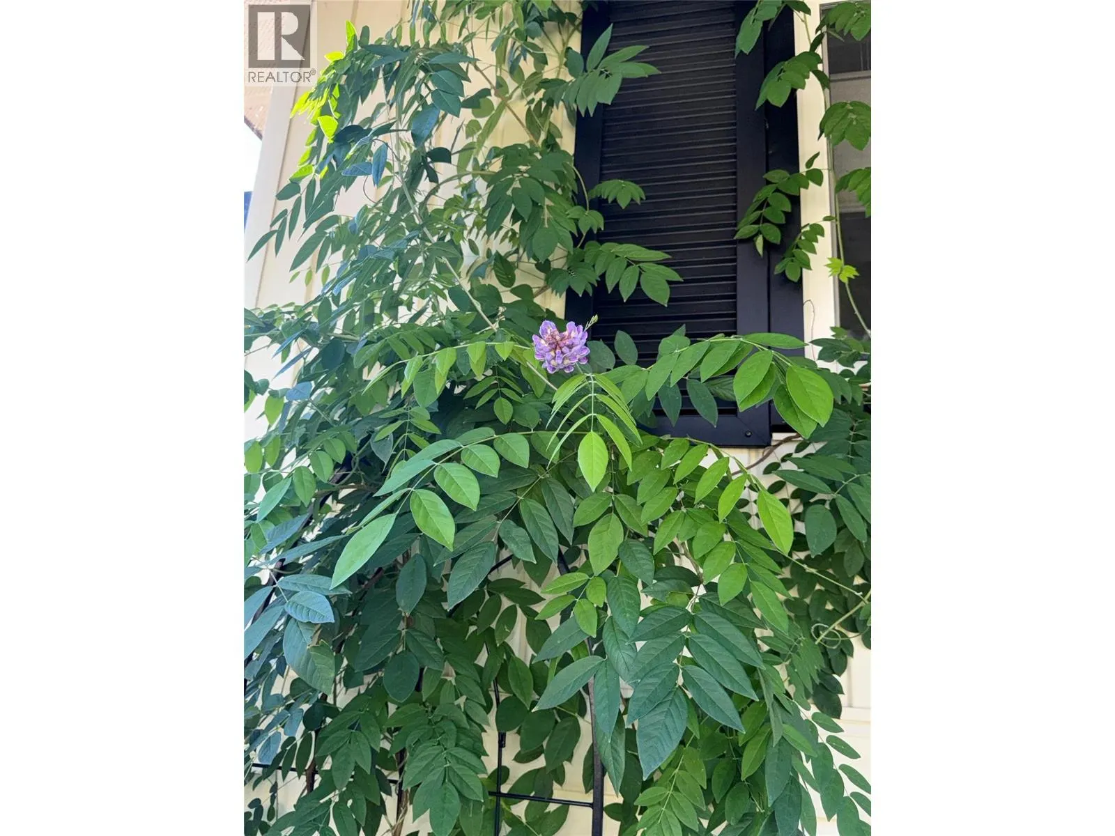 3130 Iris Crescent
