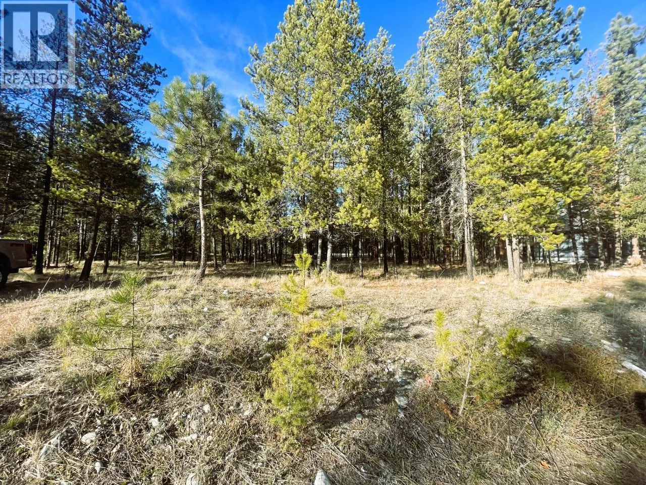 196 SHADOW MOUNTAIN Boulevard N