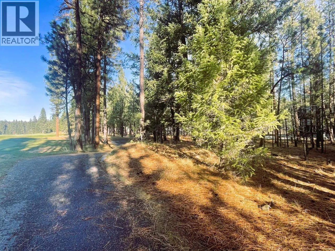 196 SHADOW MOUNTAIN Boulevard N