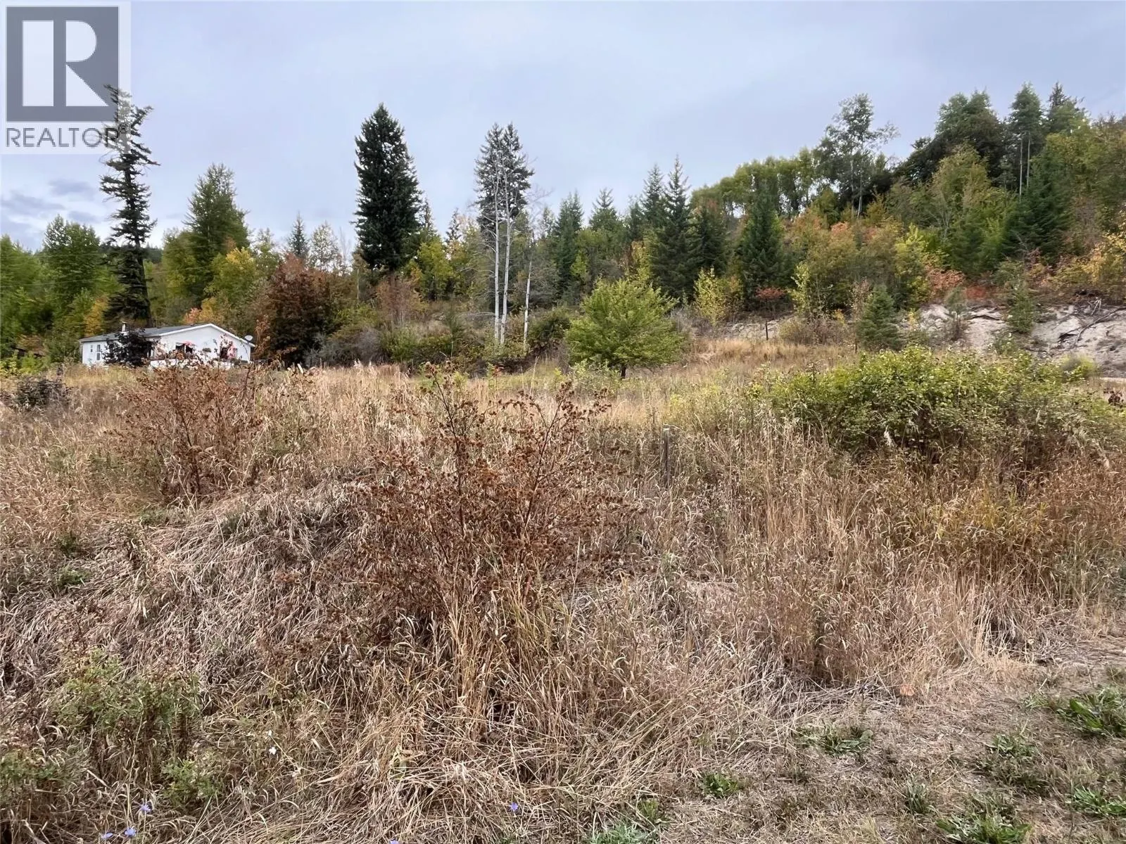 2481 Squilax Anglemont Road Lot# 48