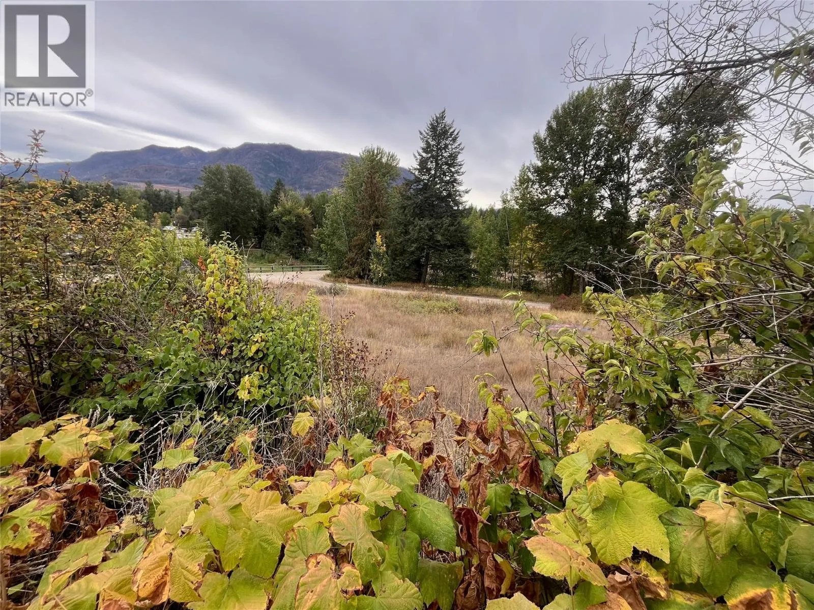 2481 Squilax Anglemont Road Lot# 48